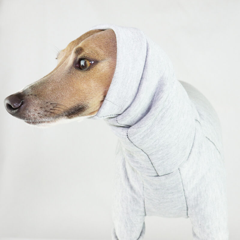 Italian Greyhound Clothing | Iggy Clothing | Iggy Wear | Whippet Clothing