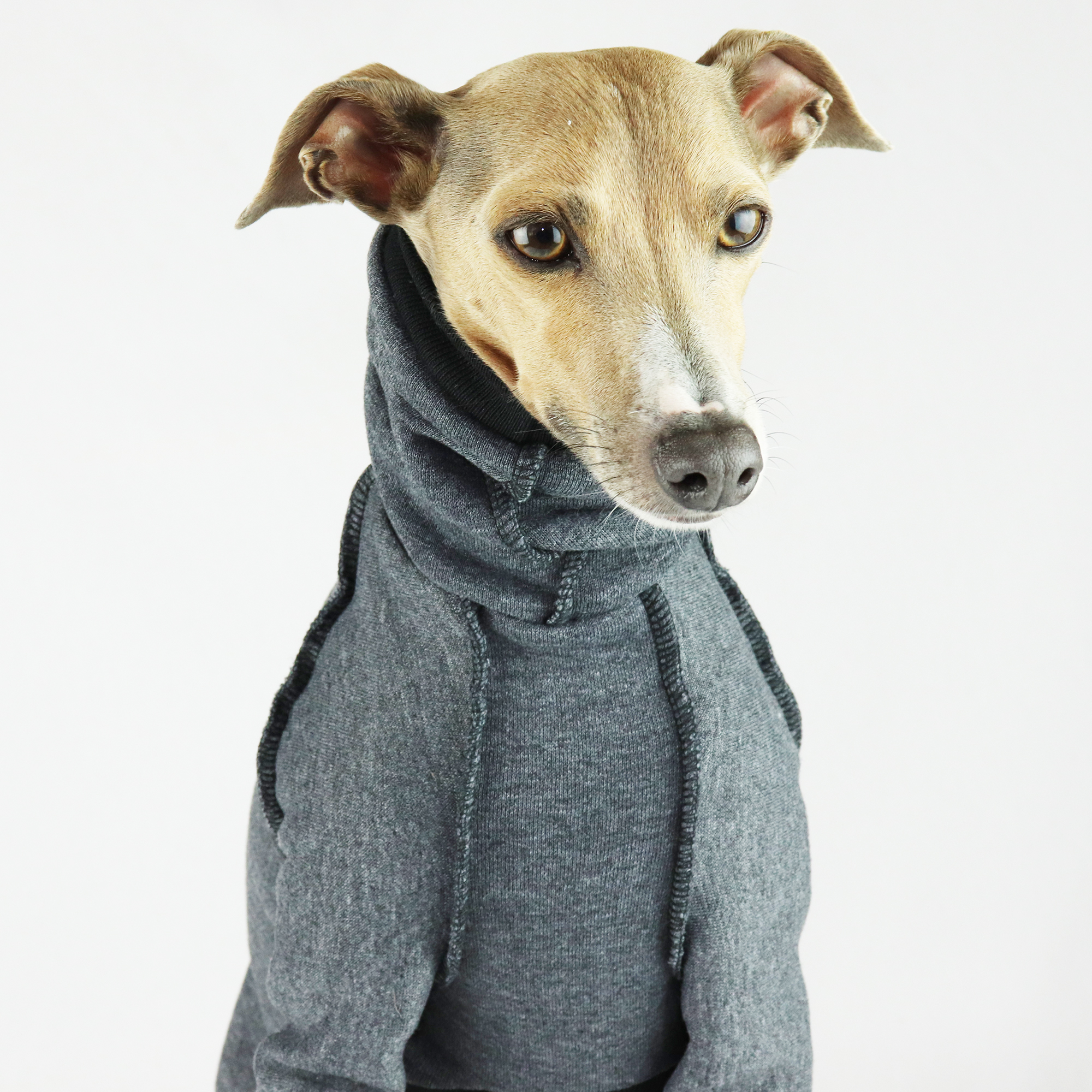 Greyhound clothing australia Outlet