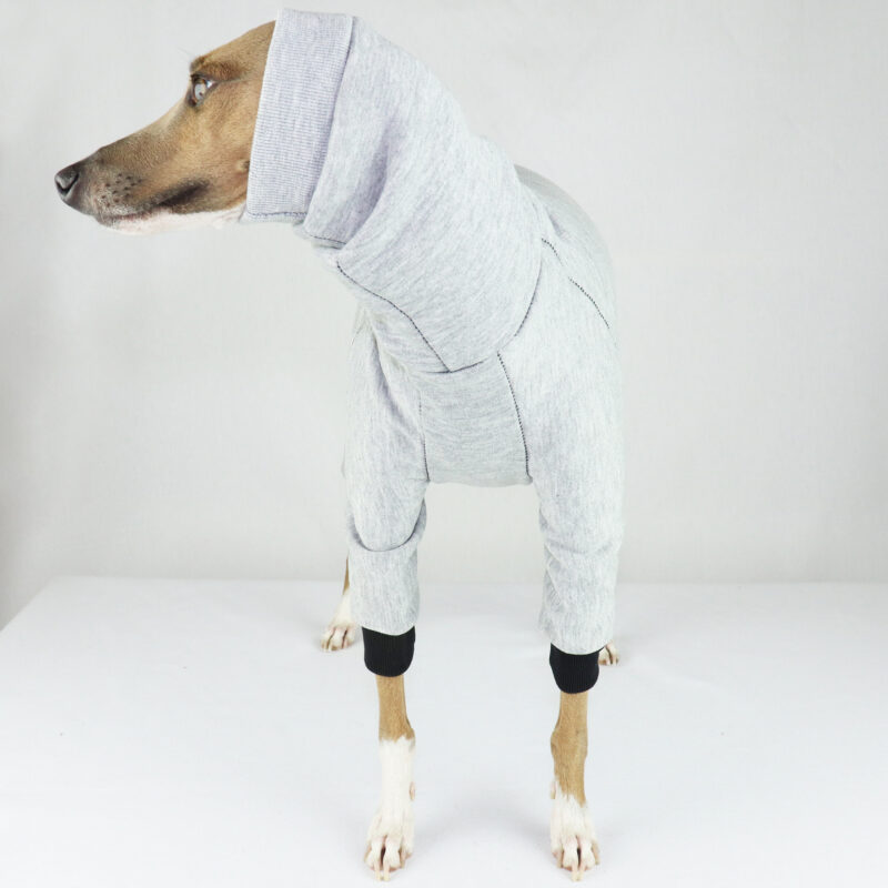 Italian Greyhound Clothing | Iggy Clothing | Iggy Wear | Whippet Clothing