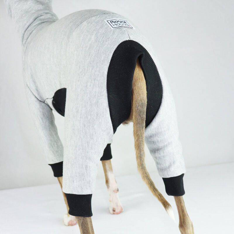 Italian Greyhound Clothing | Iggy Clothing | Iggy Wear | Whippet Clothing