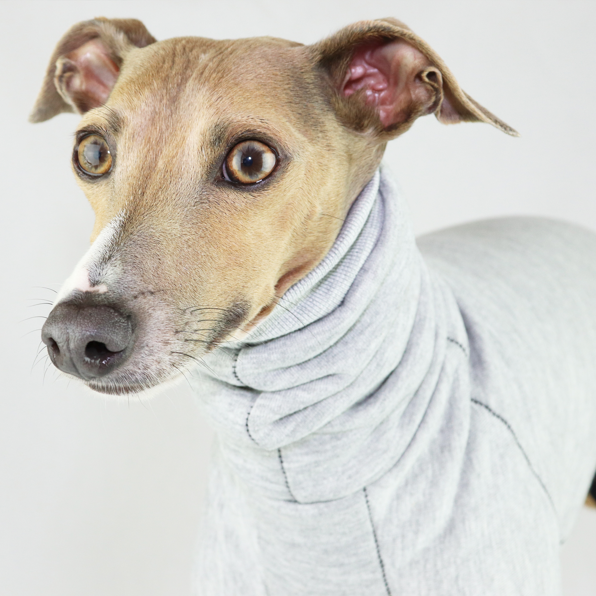 whippet turtleneck