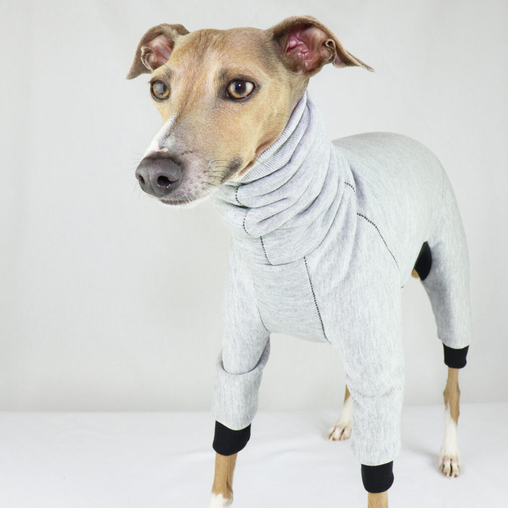 Italian Greyhound Clothing | Iggy Clothing | Iggy Wear | Whippet Clothing