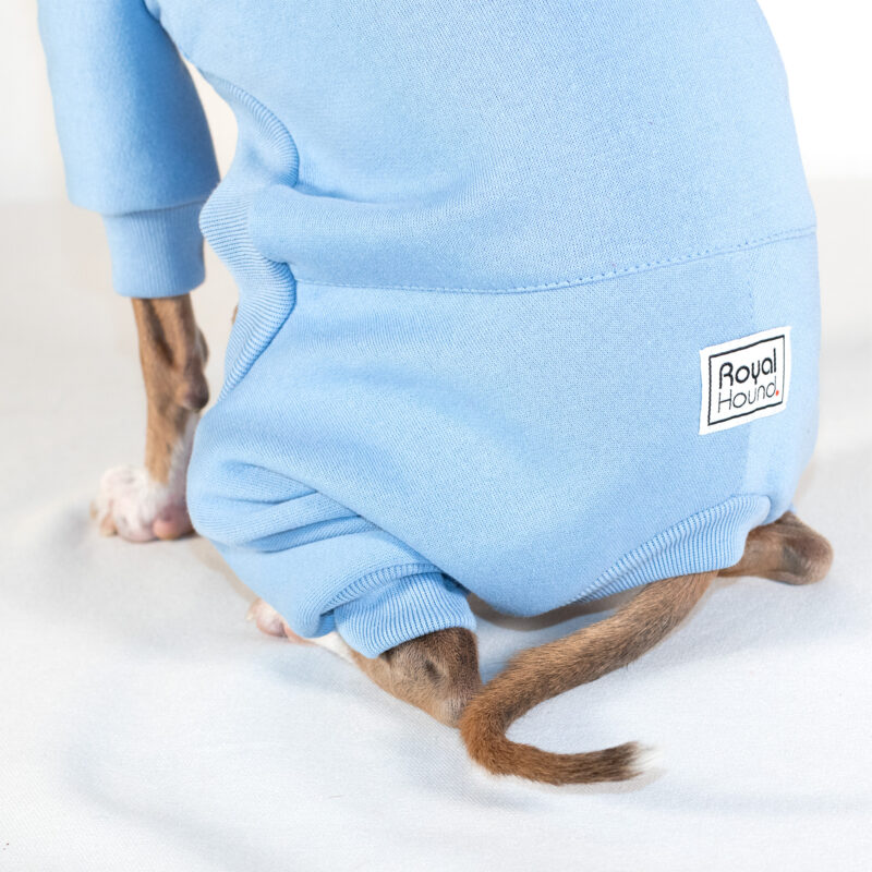 Italian Greyhound Clothing | Whippet Clothing | Iggy Wear | Whippet Wear