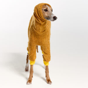 Italian Greyhound Clothing | Royal Hound | The Full Hari