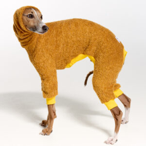 Italian Greyhound Clothing | Royal Hound | The Full Hari