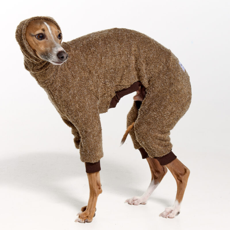 Italian Greyhound Clothing | Royal Hound | The Full Hari