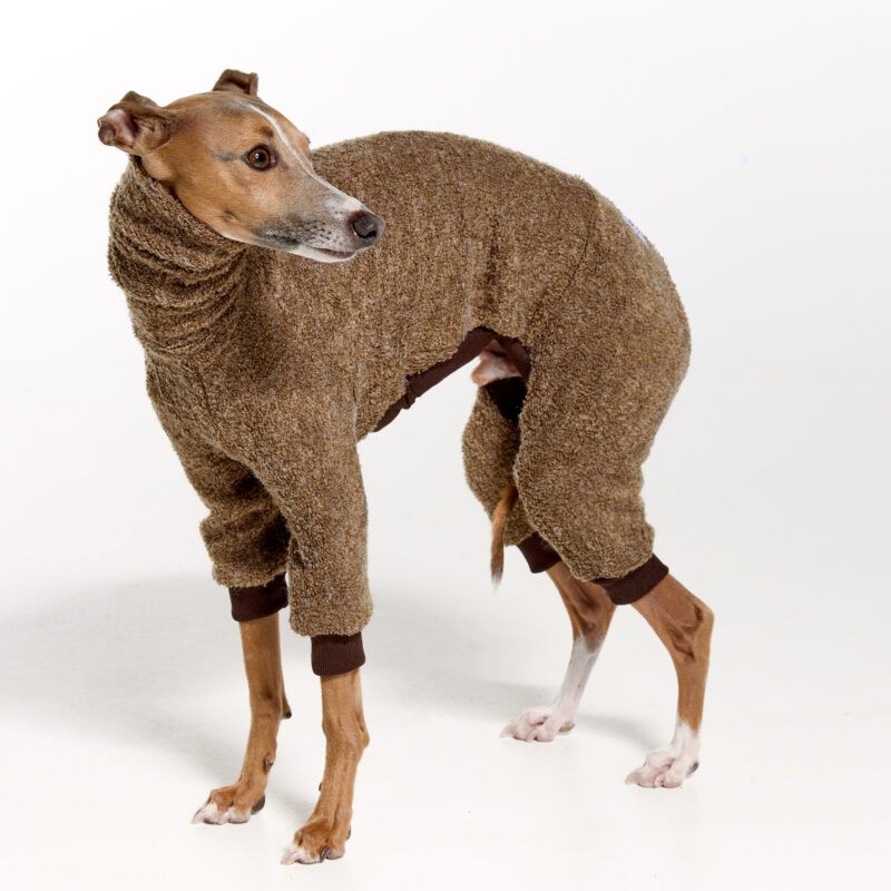 Italian Greyhound Clothing | Royal Hound | The Full Hari