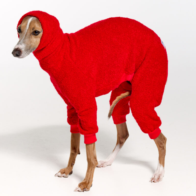 Italian Greyhound Clothing | Royal Hound | The Full Hari