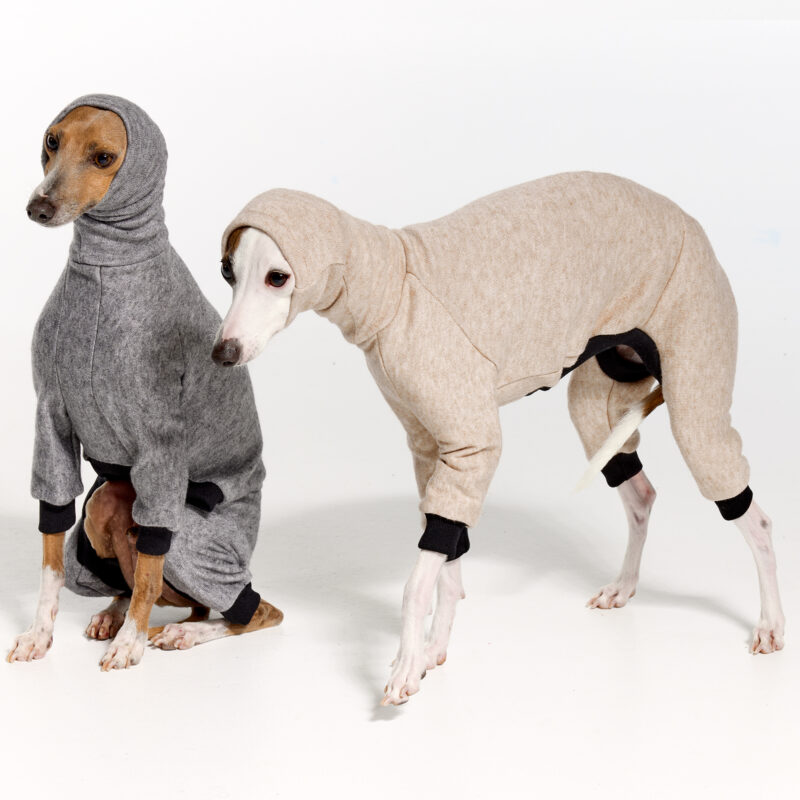 Italian Greyhound Clothing | Royal Hound | Dune Knit