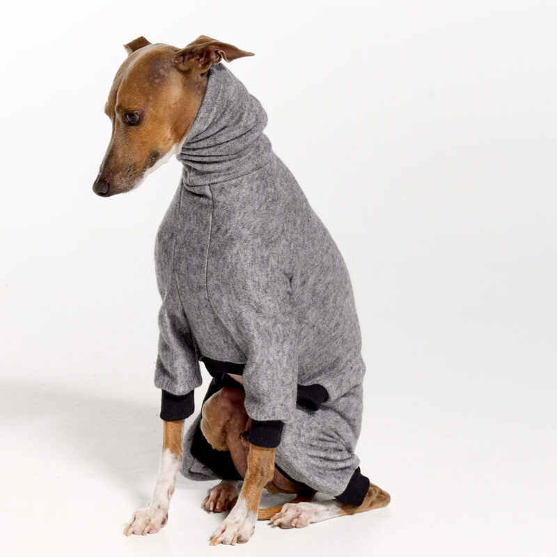 Italian Greyhound Clothing | Royal Hound | Dune Knit