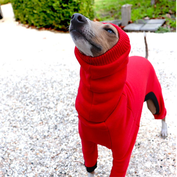 greyhound turtleneck