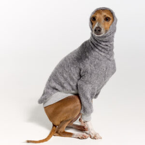 Italian Greyhound Clothing | Whippet Clothing | Royal Hound