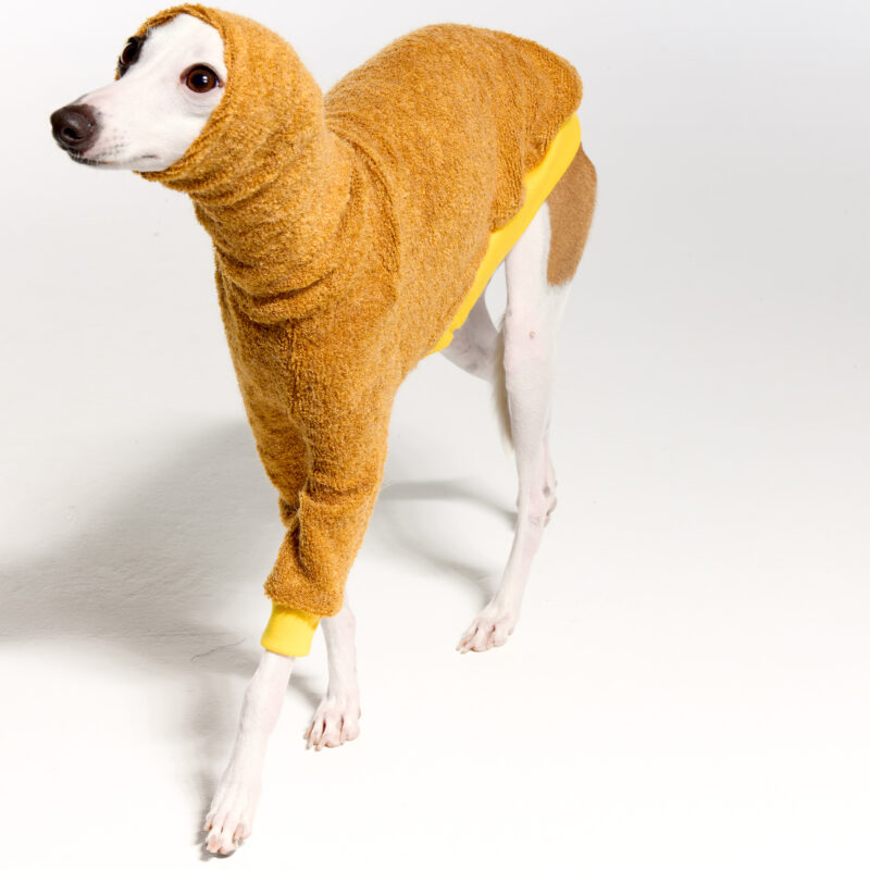 Italian Greyhound Clothing | Whippet Clothing | Royal Hound