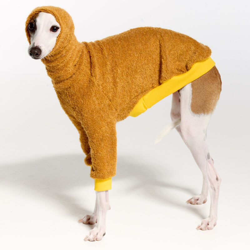 Italian Greyhound Clothing | Whippet Clothing | Royal Hound