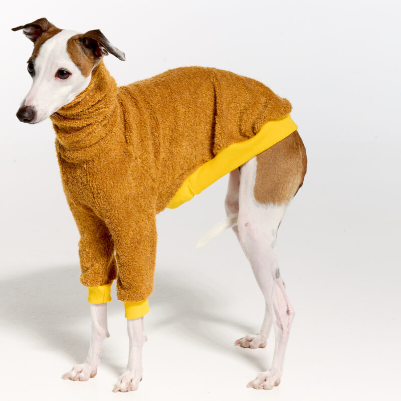 Italian Greyhound Clothing | Whippet Clothing | Royal Hound