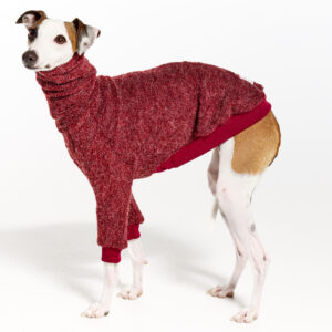 Italian Greyhound Clothing | Whippet Clothing | Royal Hound