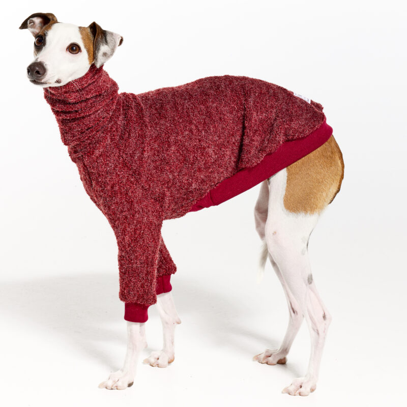 Italian Greyhound Clothing | Whippet Clothing | Royal Hound