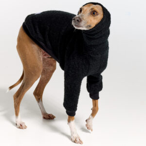 Italian Greyhound Clothing | Whippet Clothing | Royal Hound