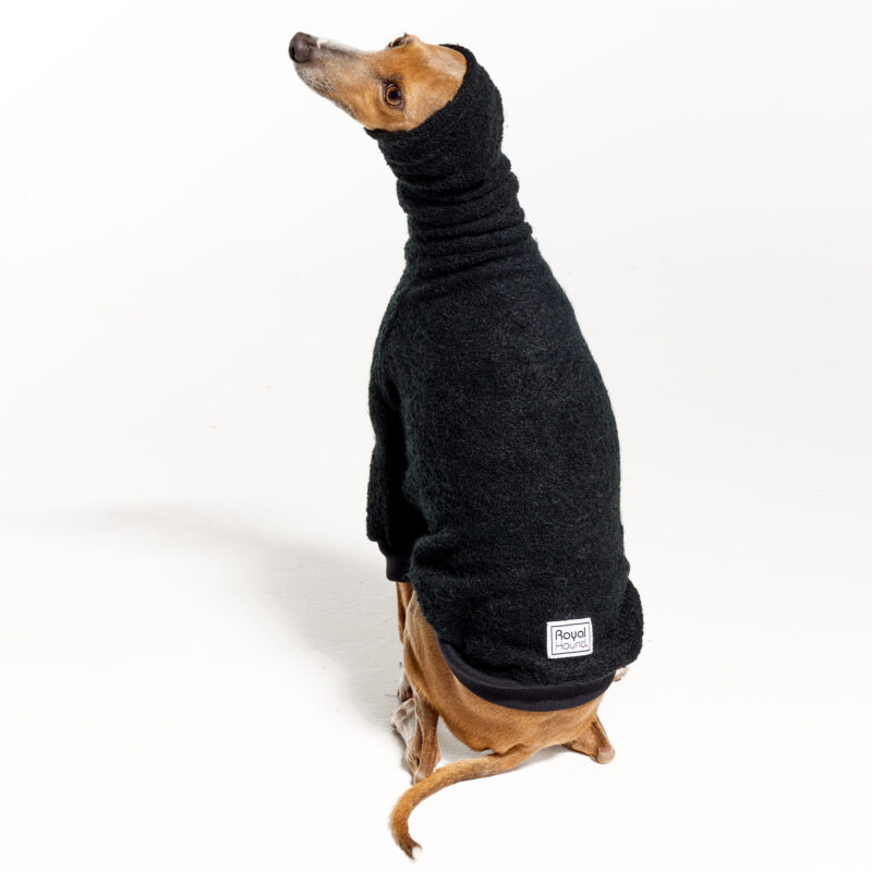 Italian Greyhound Clothing | Whippet Clothing | Royal Hound