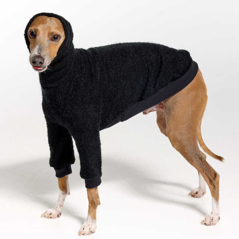 Italian Greyhound Clothing | Whippet Clothing | Royal Hound