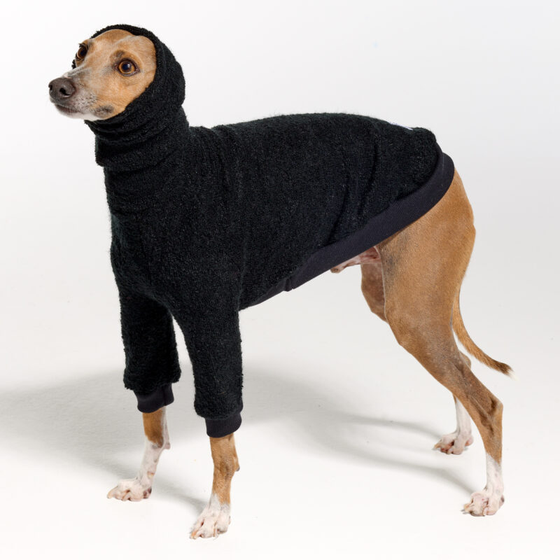 Italian Greyhound Clothing | Whippet Clothing | Royal Hound