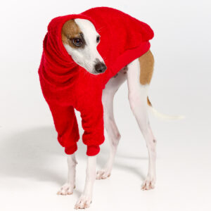 Italian Greyhound Clothing | Whippet Clothing | Royal Hound