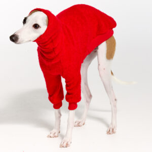 Italian Greyhound Clothing | Whippet Clothing | Royal Hound