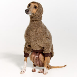 Italian Greyhound Clothing | Whippet Clothing | Royal Hound