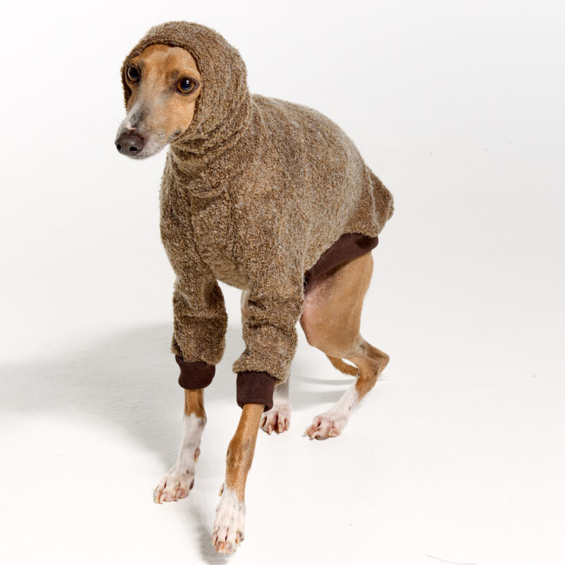 Italian Greyhound Clothing | Whippet Clothing | Royal Hound