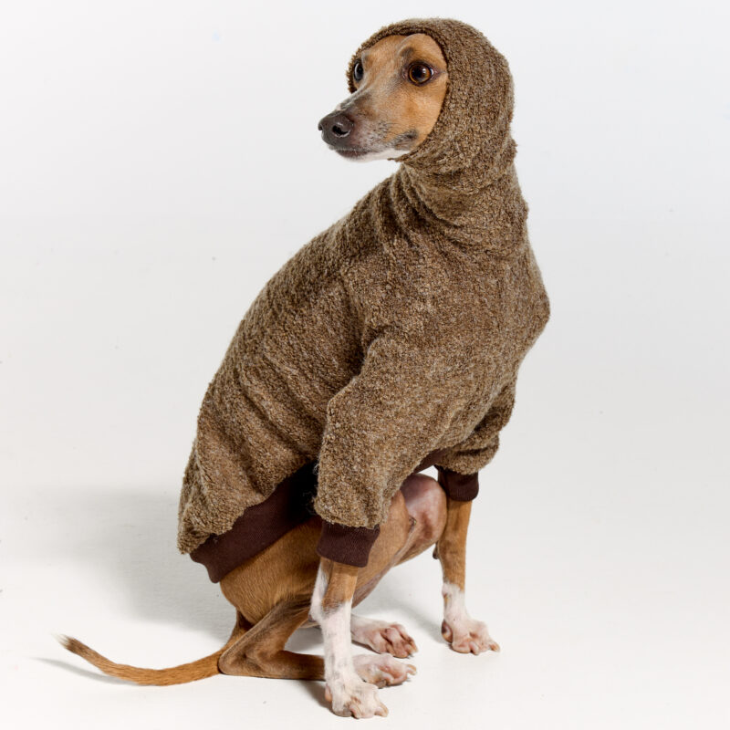 Italian Greyhound Clothing | Whippet Clothing | Royal Hound