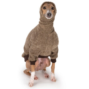 Italian Greyhound Clothing | Royal Hound