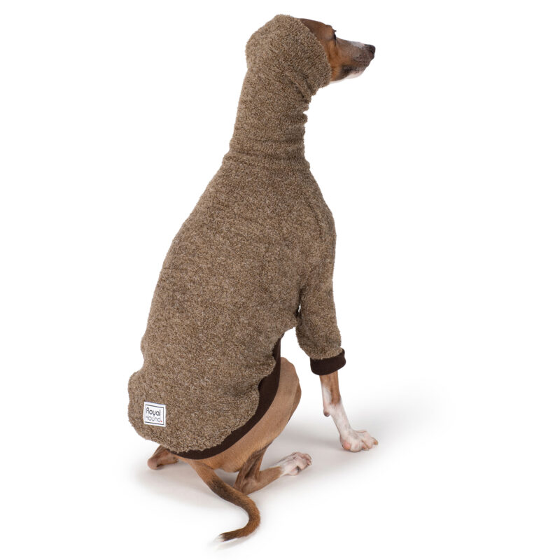 Italian Greyhound Clothing | Royal Hound