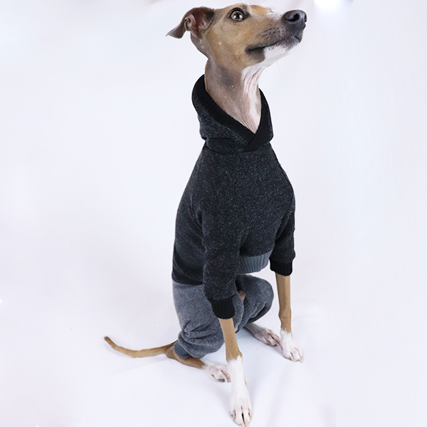 Hoodie - Full Suit Two Tone - Clothes for Italian Greyhounds