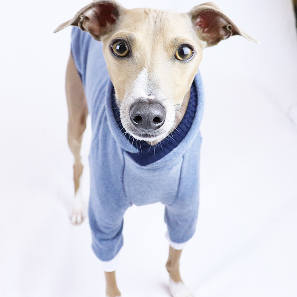 greyhound hoodie