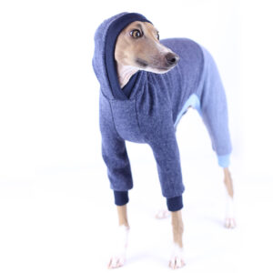 Italian Greyhound Two Tone Hoodie Clothing