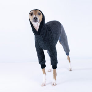 Italian Greyhound Two Tone Hoodie Clothing