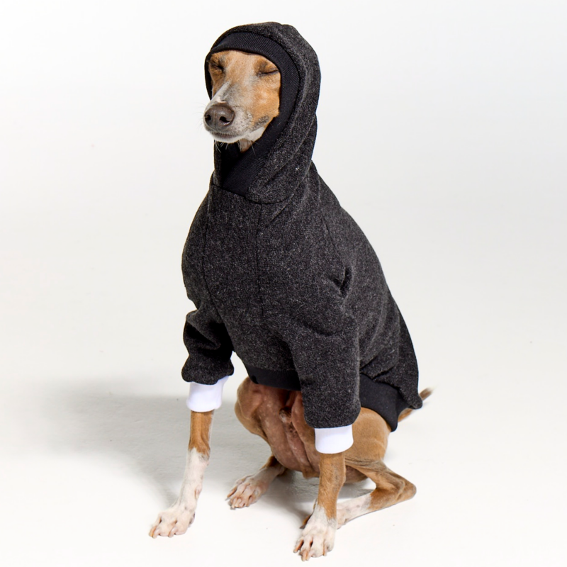 Italian Greyhound Clothing Whitehaven Dark Grey