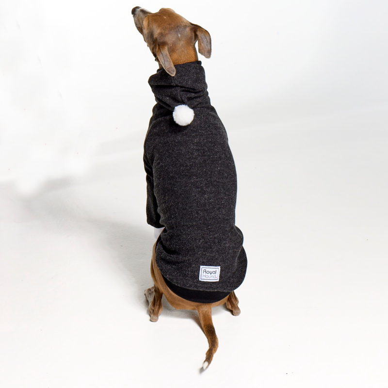 Italian Greyhound Clothing Whitehaven Dark Grey