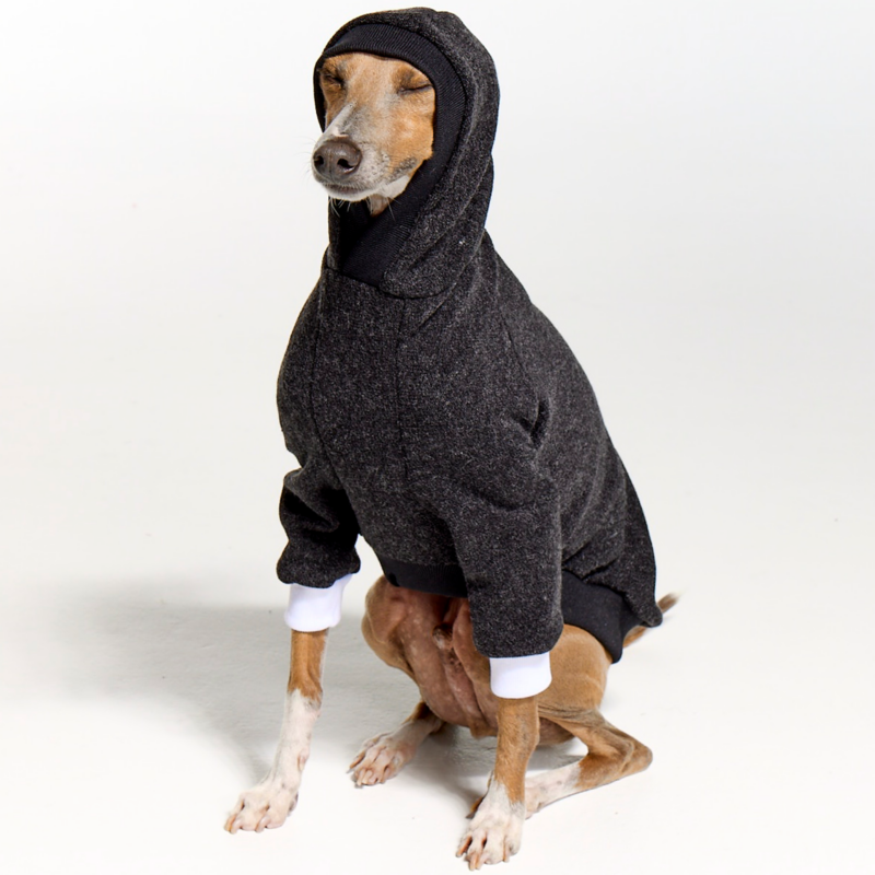 Italian Greyhound Clothing Whitehaven Dark Grey