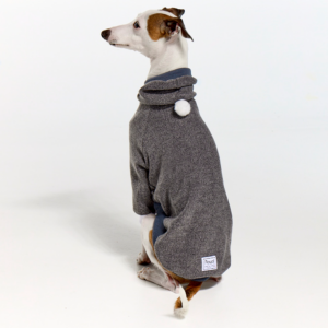 Italian Greyhound Clothing Whitehaven Grey