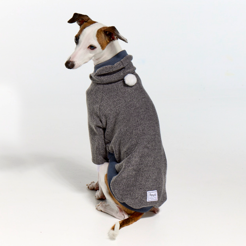 Italian Greyhound Clothing Whitehaven Grey