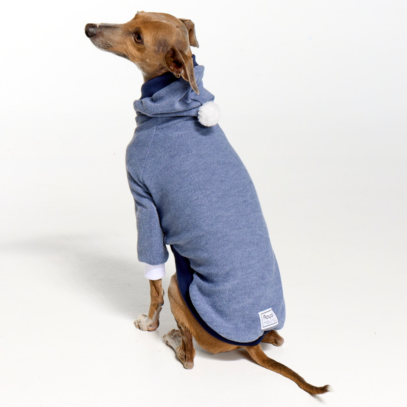 Italian Greyhound Clothing Whitehaven Royal Blue