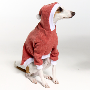 Italian Greyhound Clothing Whitehaven Ocre