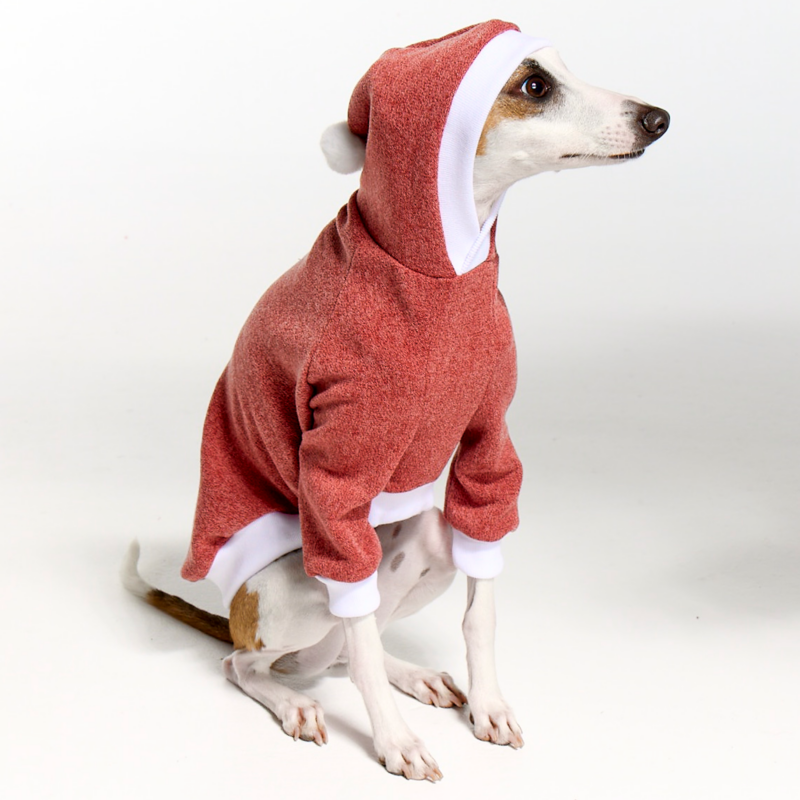 Italian Greyhound Clothing Whitehaven Ocre