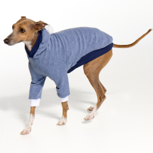 Italian Greyhound Clothing Whitehaven Royal Blue