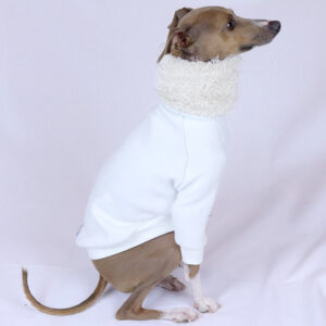 Italian Greyhound Clothes | Iggy Clothes | The Audrey | Royal Hound