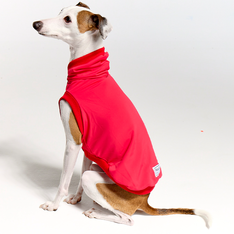 UV Clothing for Italian Greyhounds and Whippets