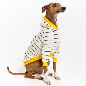 Clothes For Italian Greyhounds | Whippets