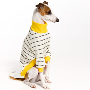 Clothes For Italian Greyhounds | Whippets