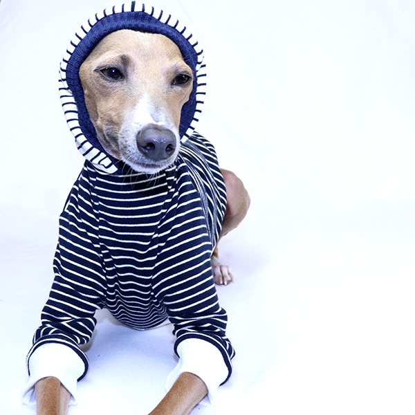 Italian Greyhound Clothing | Iggy Clothing | Royal Hound